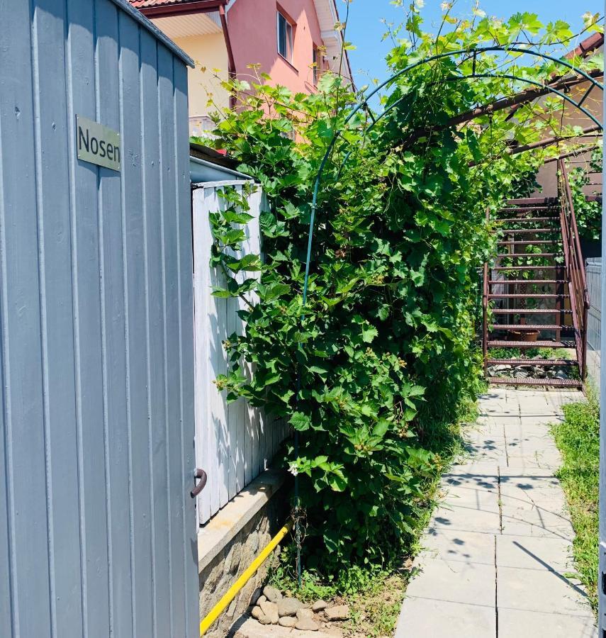 Nosen Apartment Bystrzyca Zewnętrze zdjęcie